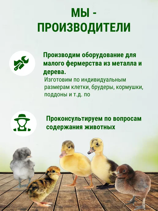 Подворье Инкубатор Несушка на 63 яйца автоматический, белый, фото 7