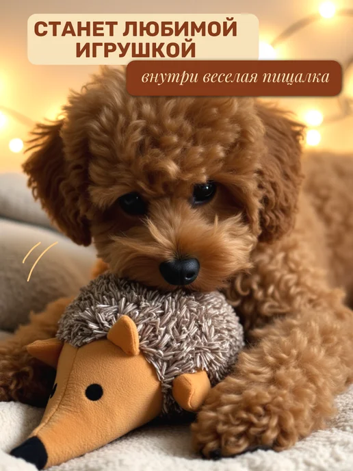 Покусака Мягкая игрушка ежик для мелких и средних собак с пищалкой, серый, фото 2