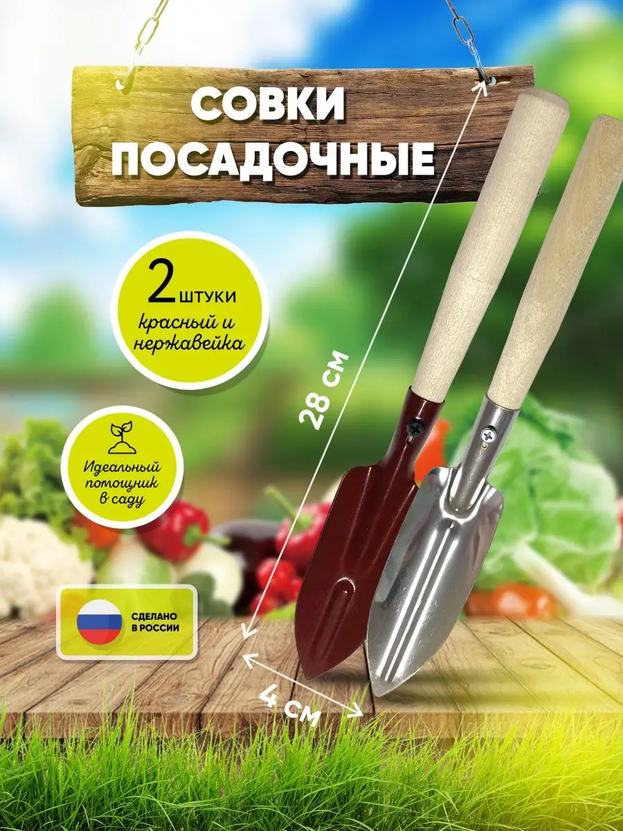 Купить Садовую Рассаду