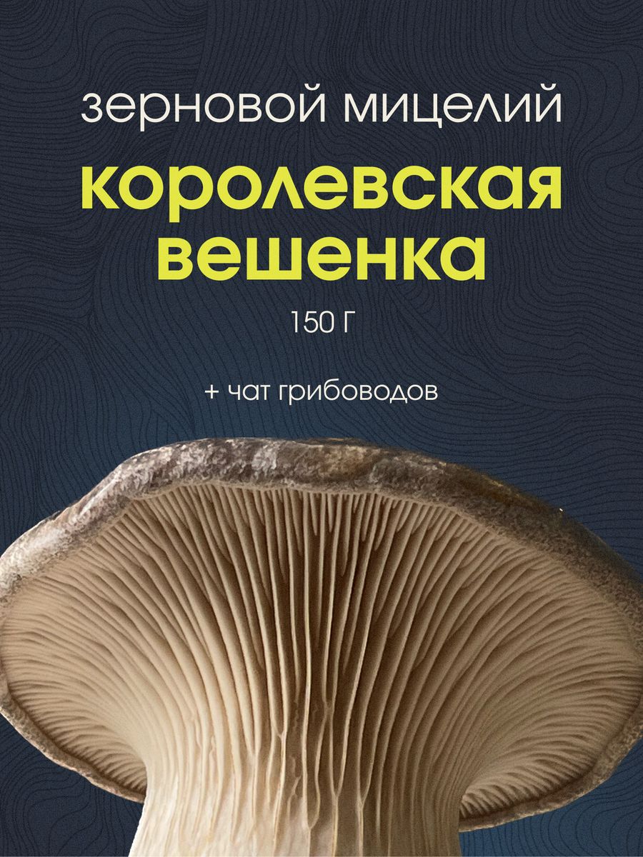 Мицелий грибов вешенки Королевской. Грибница для выращивания Грибы пошли  155597260 купить за 287 ₽ в интернет-магазине Wildberries