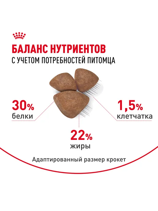 Сухой корм Royal canin Starter Mother для собак, мелкие, щенки, 1 кг, фото 3