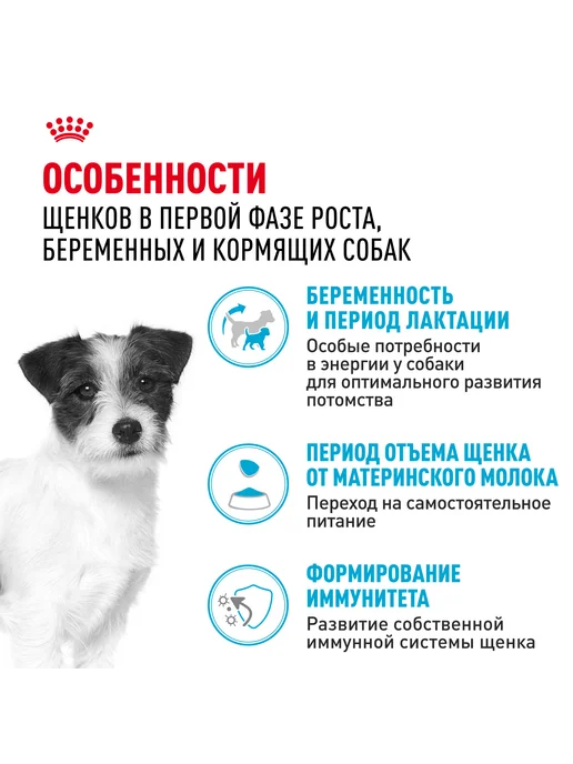 Сухой корм Royal canin Starter Mother для собак, мелкие, щенки, 1 кг, фото 6