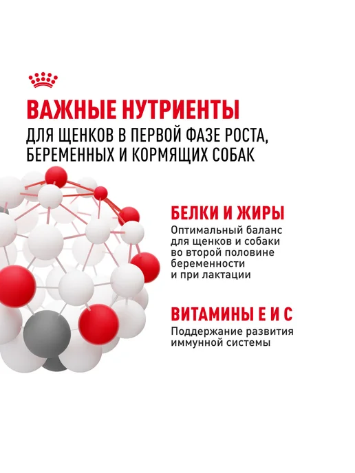 Сухой корм Royal canin Starter Mother для собак, мелкие, щенки, 1 кг, фото 7