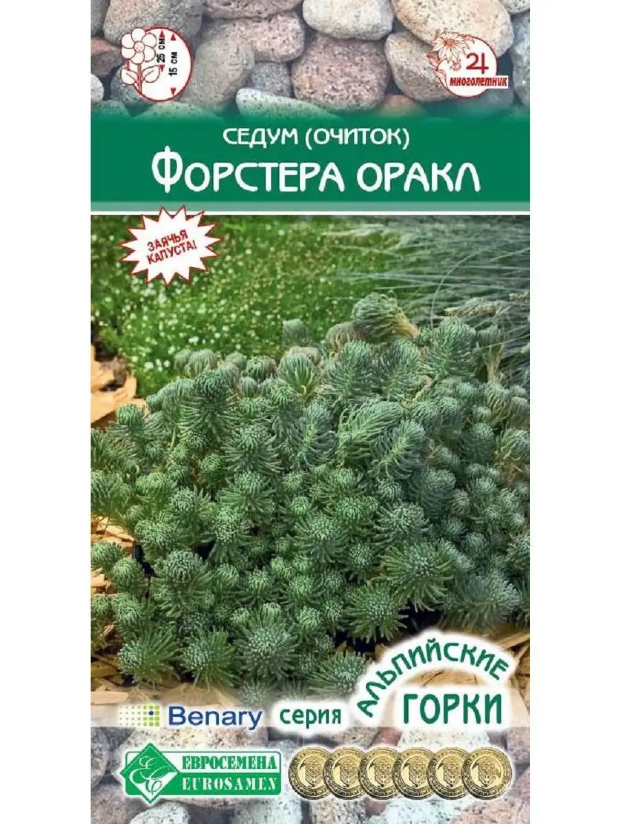 Семена Седум, очиток...