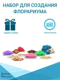 Флорариум стеклянный набор с растениями Sova market 155720800 купить за 755 ₽ в интернет-магазине Wildberries