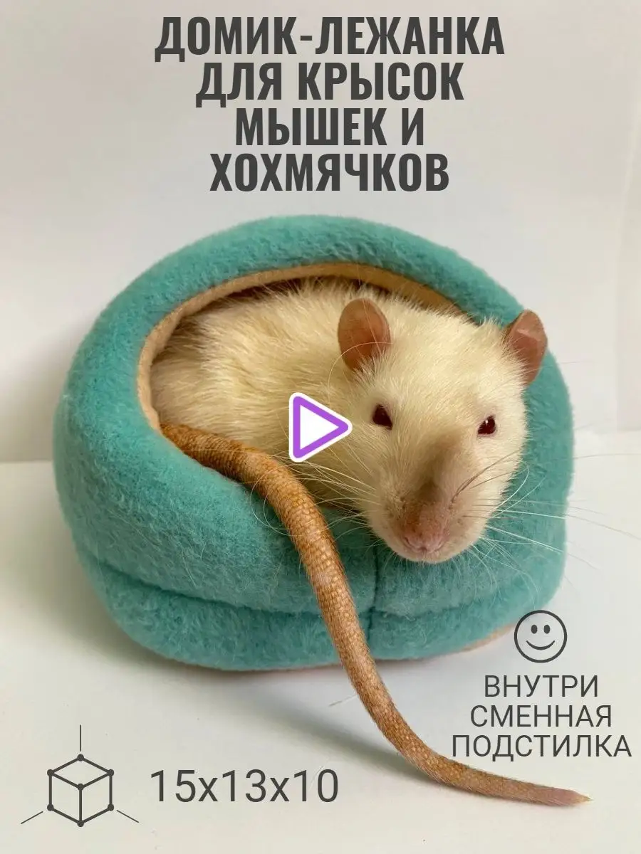 Домик со съемной лежанкой для крысы 15х13х10 голубой