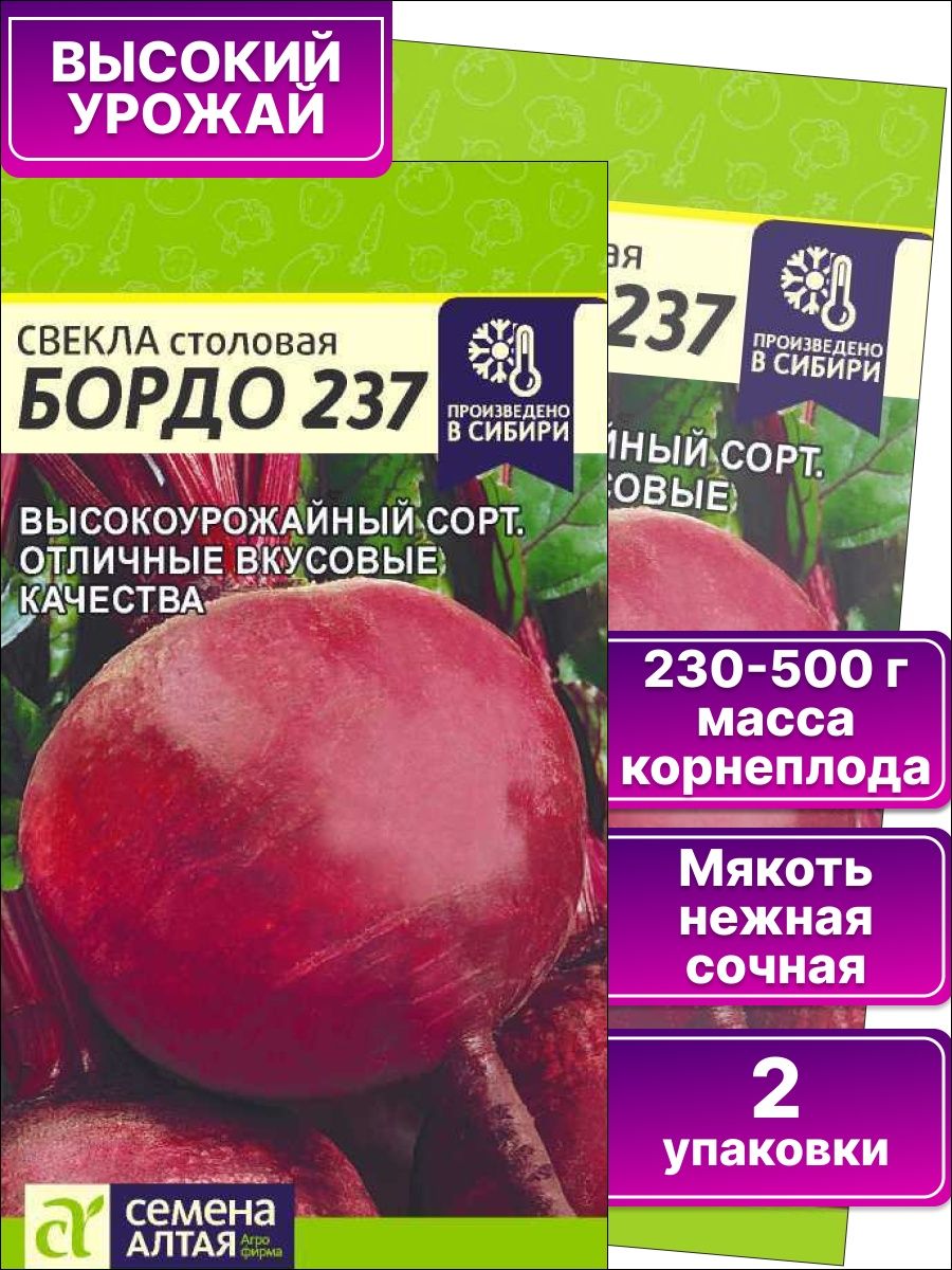 Свекла бордо 237 описание сорта. Свекла бордо 237. Свекла Рубиновая Королева. Свёкла бордо описание. Свекла бордо 237 описание сорта фото отзывы.