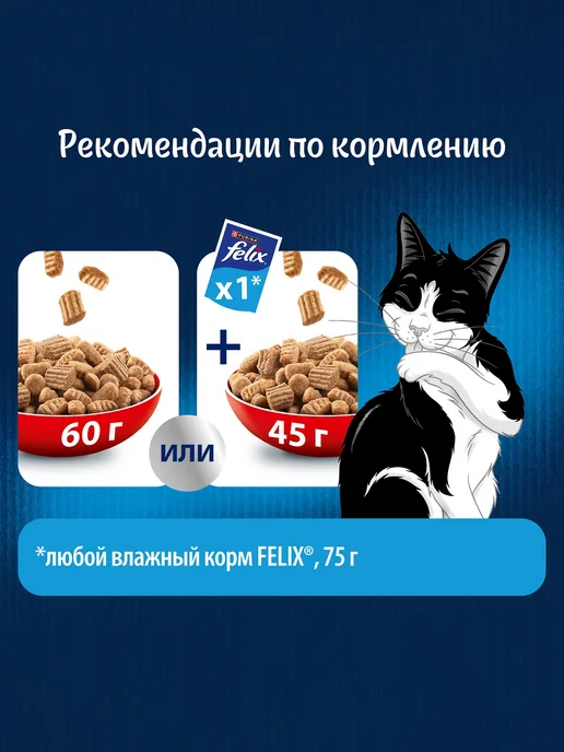 Сухой корм FELIX (зоотовары) Полноценного Рациона для собак, 3 кг, фото 4