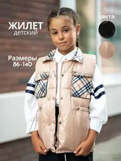 Жилет утепленный весенний без капюшона AE BABY FASHION 155798968 купить за 612 ₽ в интернет-магазине Wildberries