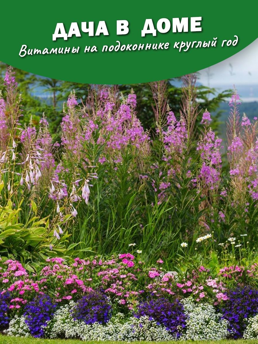 Смесь многолетников цветочный. Смесь низких многолетников. Семена цветов многолетников. Низкие многолетние цветы. Смесь низких многолетников цветочный коктейль.