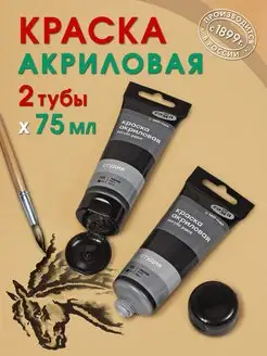 Краска акриловая черная - 2 шт Гамма 155864801 купить за 255 ₽ в интернет-магазине Wildberries