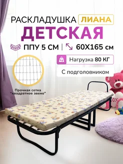 Раскладушка с матрасом детская 60х165 "Лиана" АККОРД-МЕБЕЛЬ 155886228 купить за 4 938 ₽ в интернет-магазине Wildberries