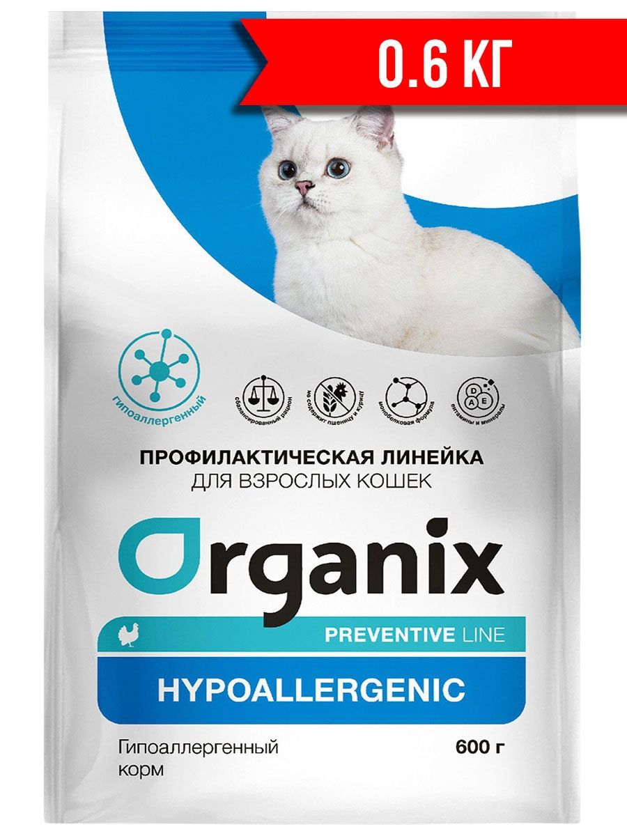 Hypoallergenic для кошек. Гипоаллердженик для кошек. Гипоаллергенная кошка.