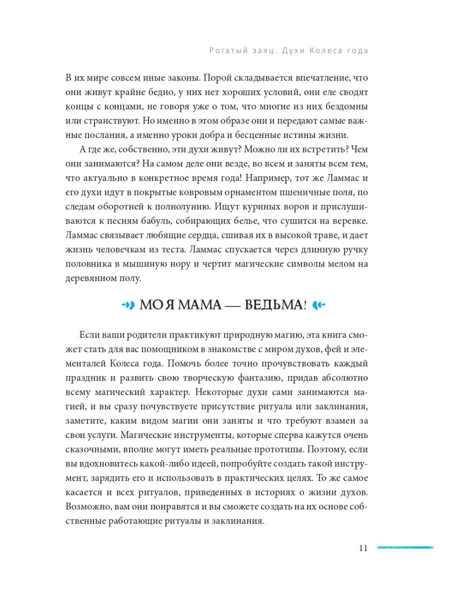 Рогатый заяц. Духи Колеса года, сказки для детей ведьм Издательская группа  Весь 155969721 купить за 867 ₽ в интернет-магазине Wildberries