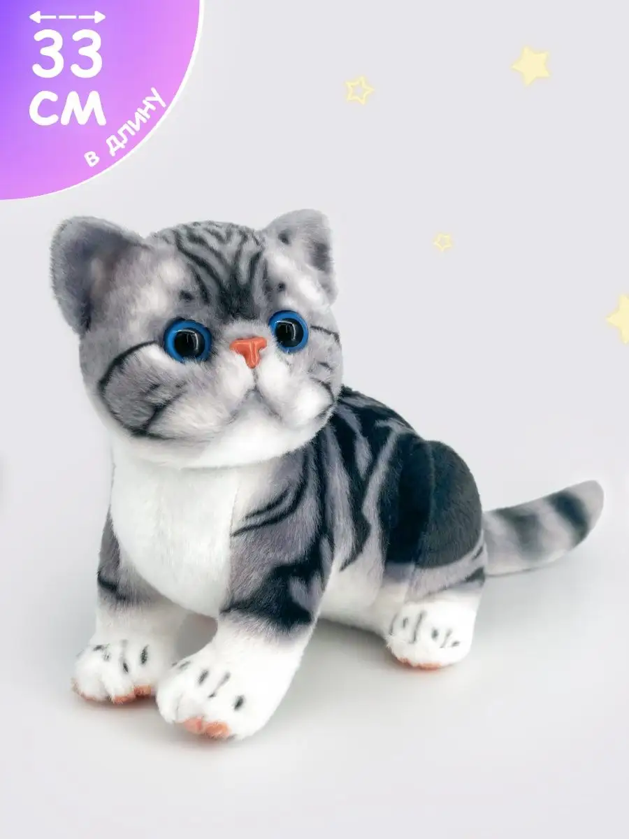 Мягкая игрушка Британская кошка 33 см Окей Тойс 155970590 купить за 1 142 ₽  в интернет-магазине Wildberries