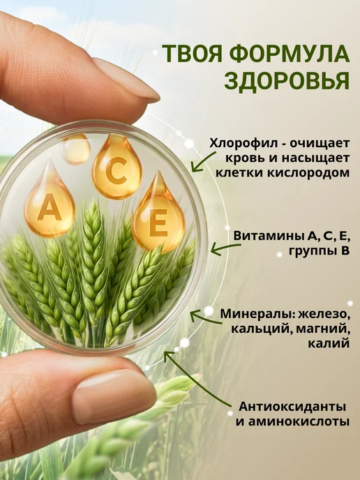 Russian superfood Ростки пшеницы, витграсс, вариант, фото 3