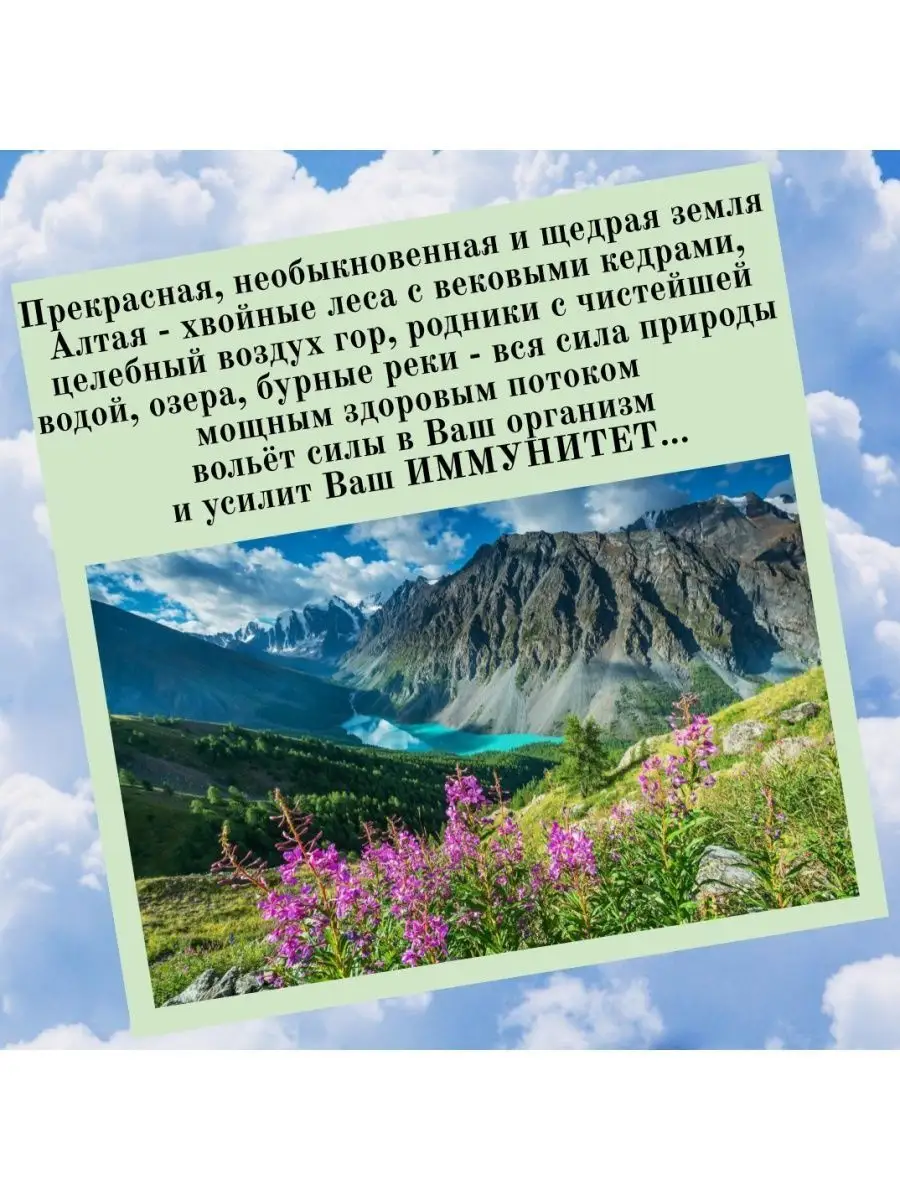 Шикша дорогая трава при нервно-психических заболеваниях Данила Травник  156062542 купить за 395 ₽ в интернет-магазине Wildberries