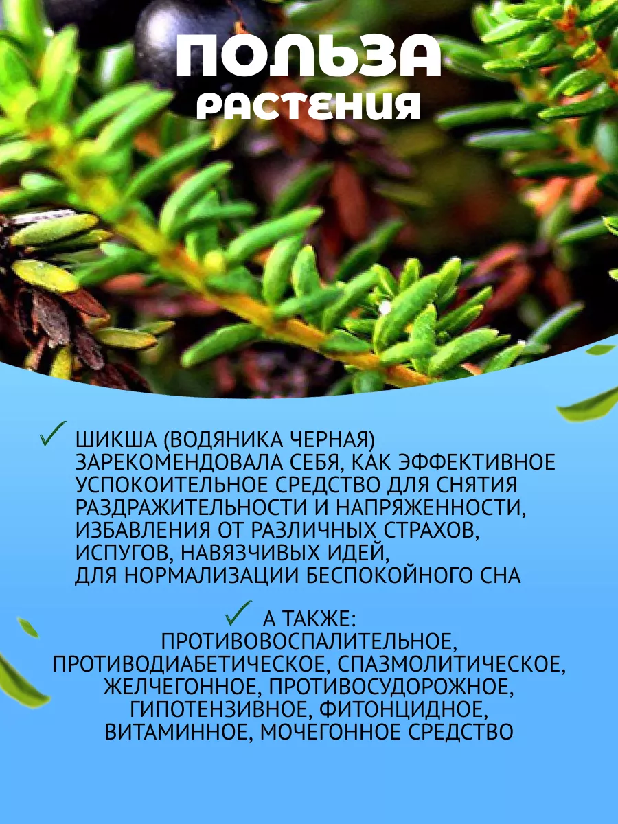 Шикша дорогая трава при нервно-психических заболеваниях Данила Травник  156062542 купить за 374 ₽ в интернет-магазине Wildberries