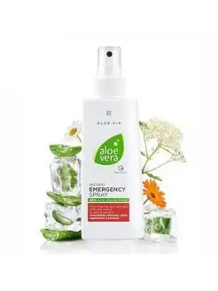 fructis aloe vera shampoo Garnier Fructis Aloe Hydra Shampoo 650ml — WeCare Pharma main image 1