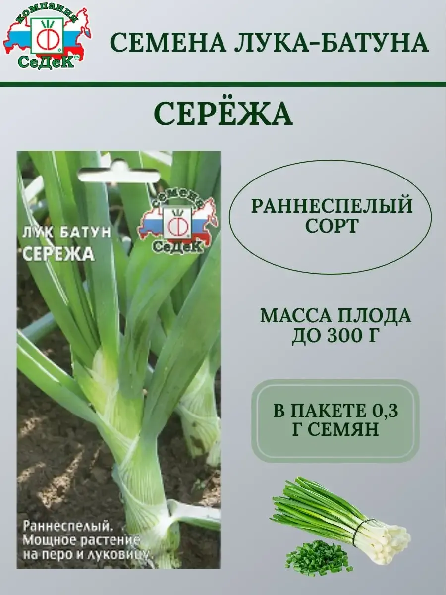 Семена лука-батуна СЕРЁЖА СеДек 156091803 купить за 104 ₽ в  интернет-магазине Wildberries