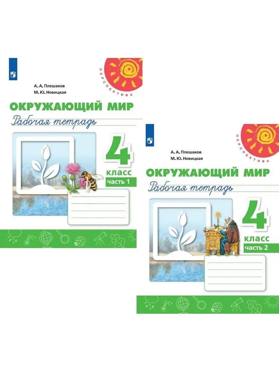 Плешаков Окружающий мир 4 класс Рабочая тетрадь Просвещение 156092010  купить в интернет-магазине Wildberries