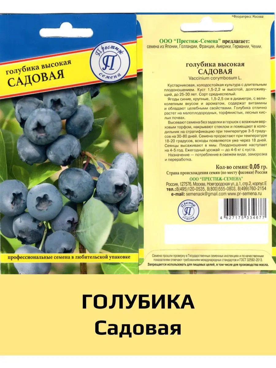 Семена Голубика Садовая, 1 уп Престиж 156093018 купить за 195 ₽ в  интернет-магазине Wildberries