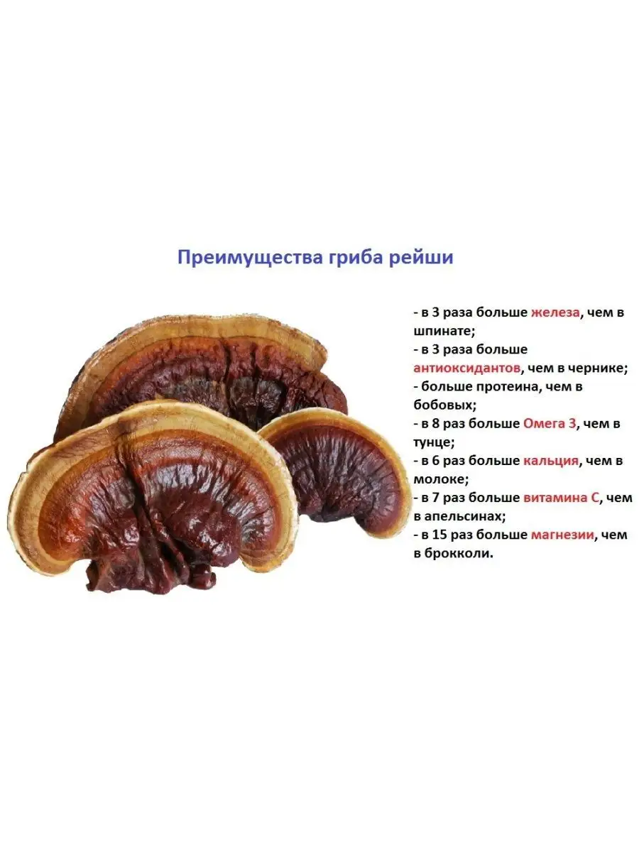 Гриб рейши описание. Гриб рейши 60 капсул. Гриб рейши от онкологии. Китайские капсулы гриба рейши. Гриб рейши фото и описание.