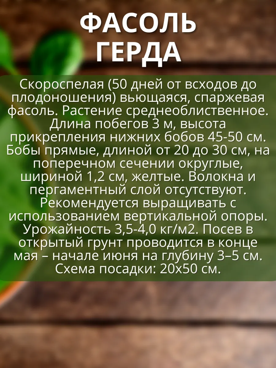 Семена спаржевой фасоли Гавриш 156149789 купить за 175 ₽ в  интернет-магазине Wildberries