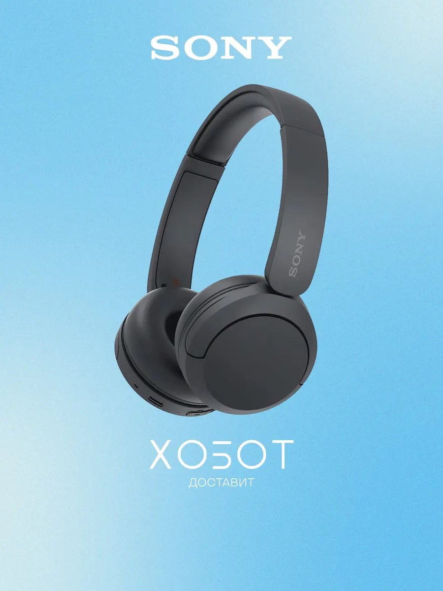 SONY Наушники WH-CH520 беспроводные (Bluetooth) с микрофоном