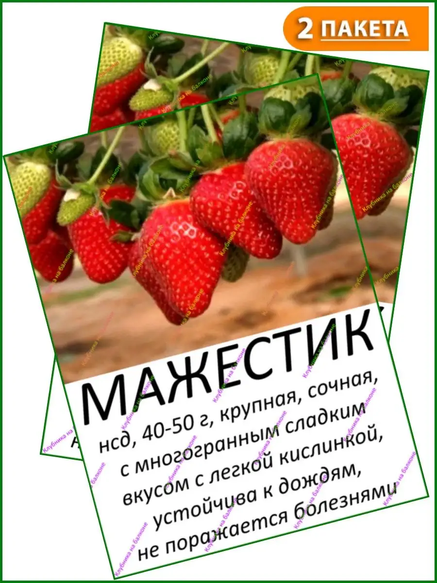 Мажестик 2 пакета Клубника на балконе 156206987 купить в интернет-магазине  Wildberries