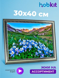 Алмазная мозаика природа 30х40 hobkit 156256130 купить за 267 ₽ в интернет-магазине Wildberries