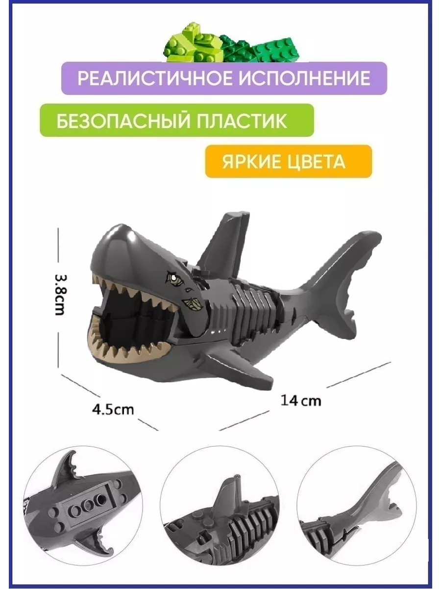 Палеонтологи усомнились в схожести белых акул и доисторических акул-мегалодонов