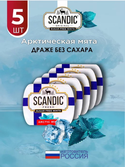 SCANDIC: купить товары бренда в интернет-магазине Wildberries
