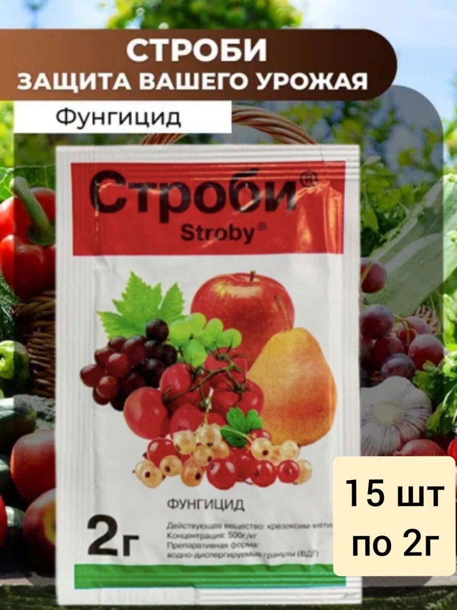 Строби фунгицид срок ожидания. Строби 2 г. Строби фунгицид. Баковая смесь для обработки Строби.