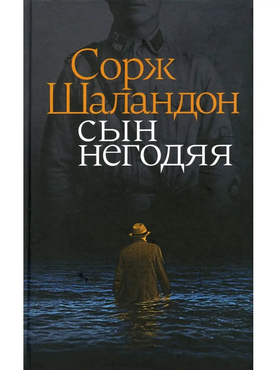 Сын негодяя: роман Издательство Ивана Лимбаха 156340140 купить за 649 ₽ в  интернет-магазине Wildberries