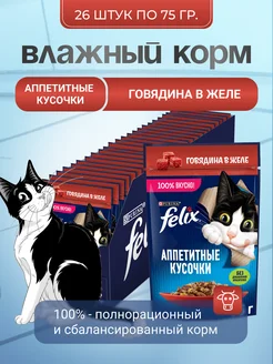 Корм для кошек Феликс аппетитные кусочки говядина 75гр Felix 156353687 купить за 745 ₽ в интернет-магазине Wildberries