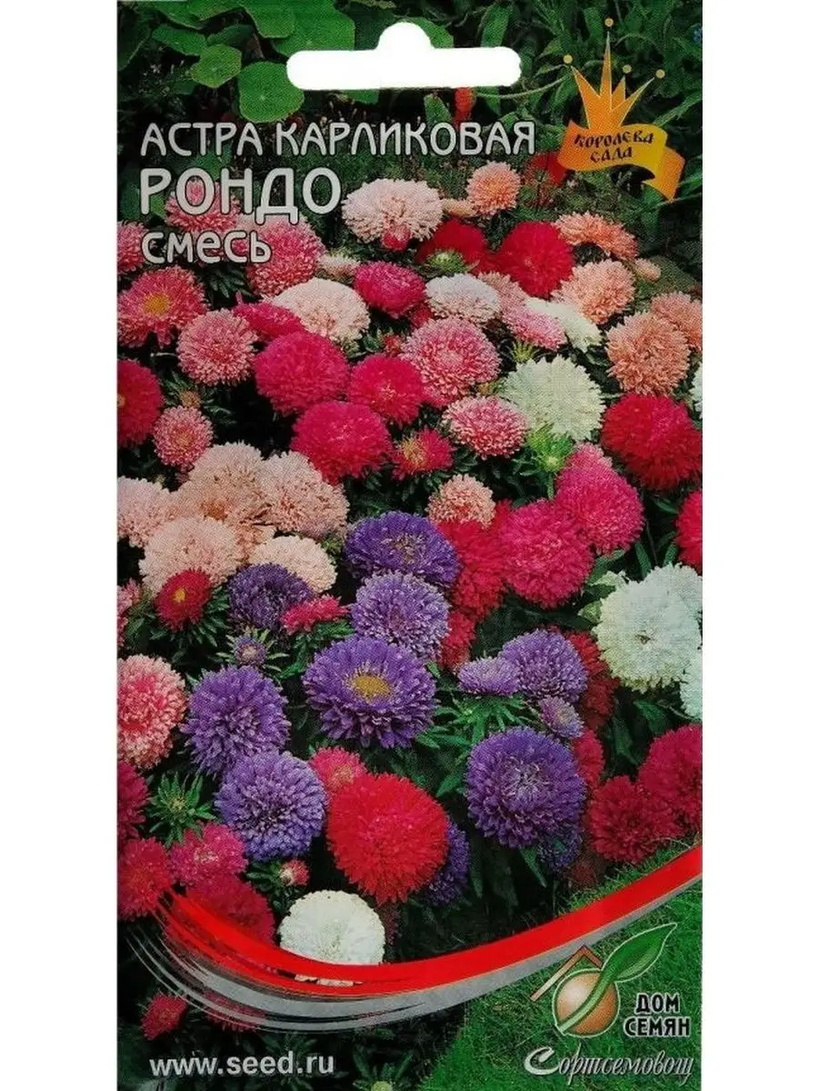 Астра Рондо, 100 шт Дом Семян / Астра карлик Рондо смесь, 100 семян  156363411 купить за 79 ₽ в интернет-магазине Wildberries