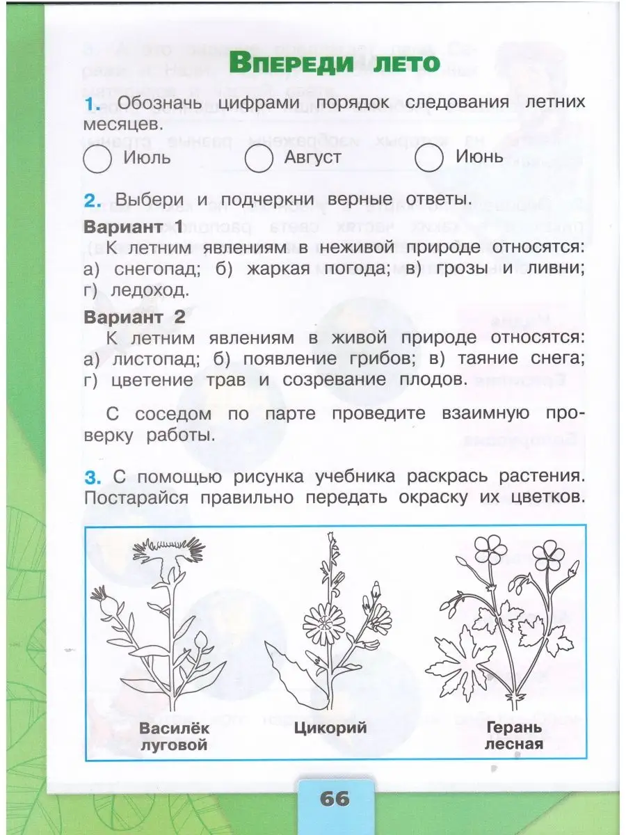 2кл. Окружающий мир Рабочая тетрадь в 2х ч. (Плешаков А.А.) УМ.учебники  156387040 купить в интернет-магазине Wildberries