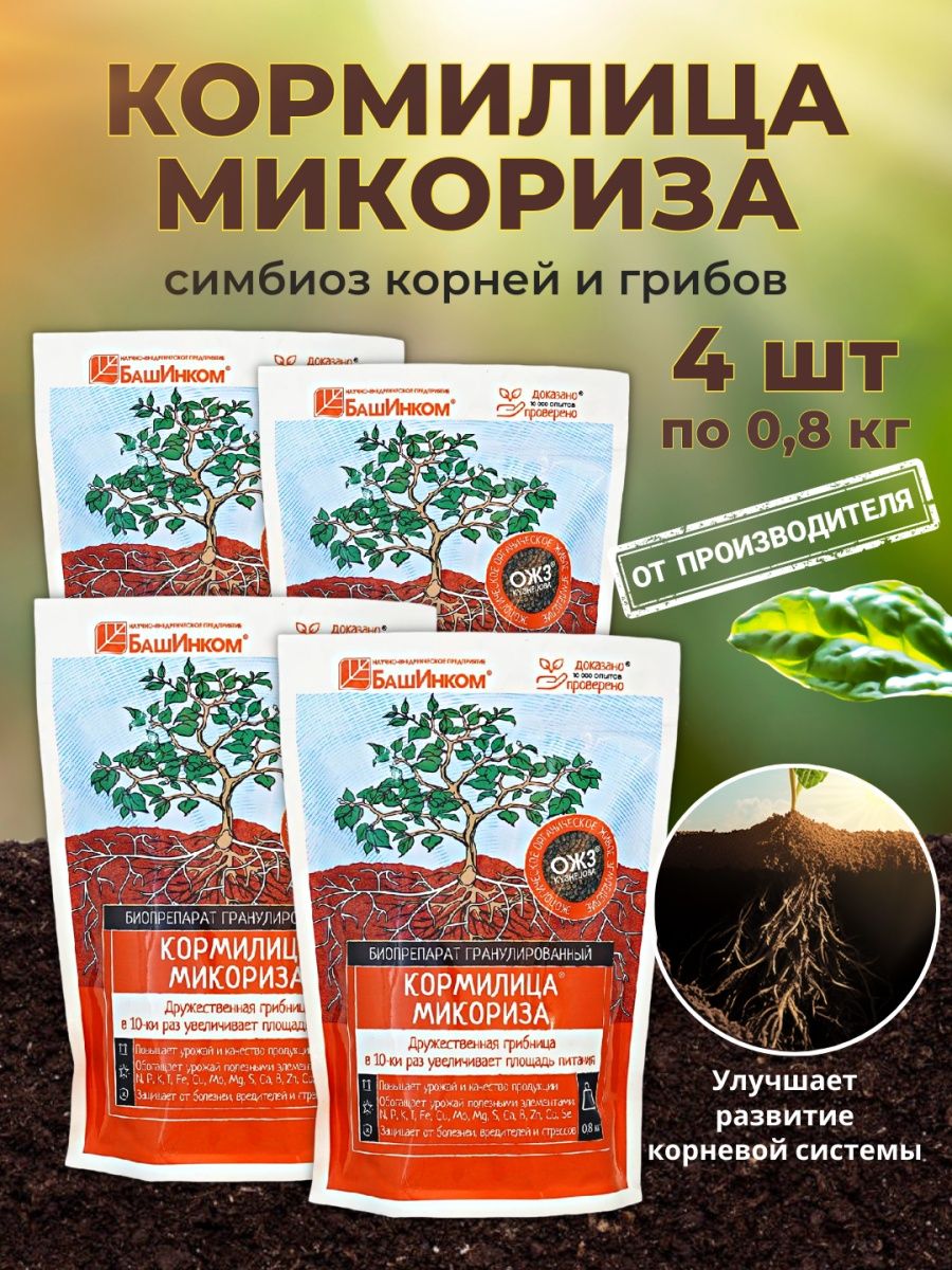 Микориза для рассады. Корневая система с микоризой. Кормилица микориза. Микориза гранулированная.