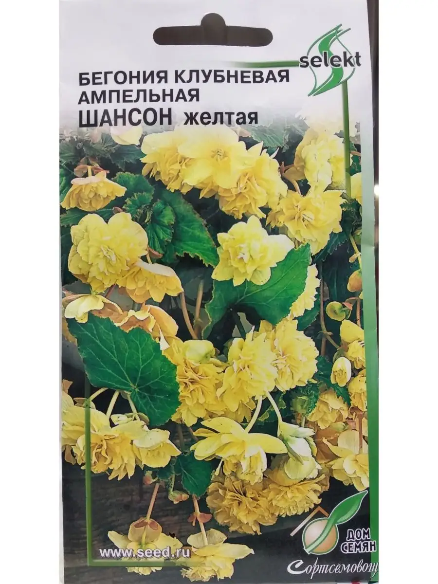 Бегония махровая Шансон жёлтая, 10 шт Бегония клуб. амп. махровая Шансон,  жёлтая, 10 шт 156423745 купить за 96 ₽ в интернет-магазине Wildberries