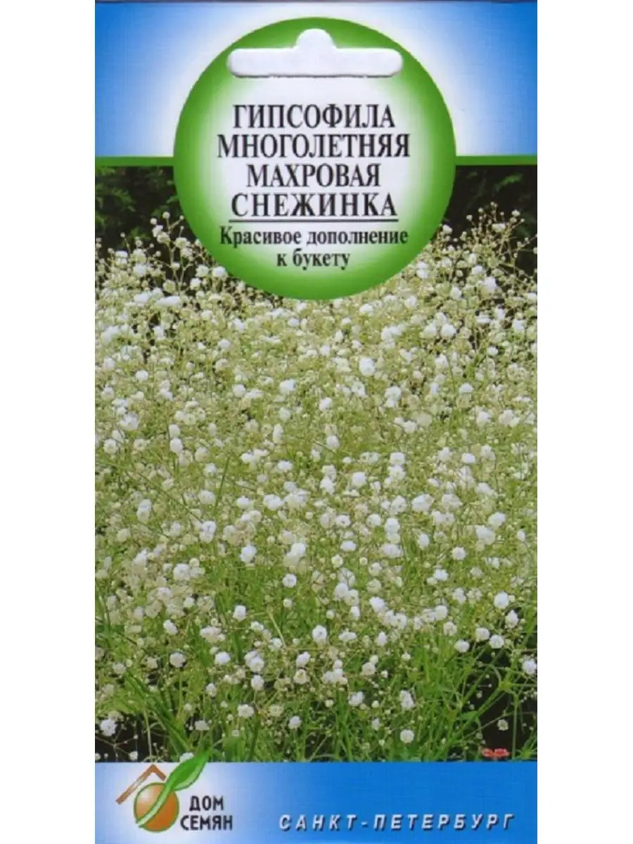 Гипсофила Снежинка, многолетняя махровая, 50 семян Дом Семян 156430818  купить за 98 ₽ в интернет-магазине Wildberries