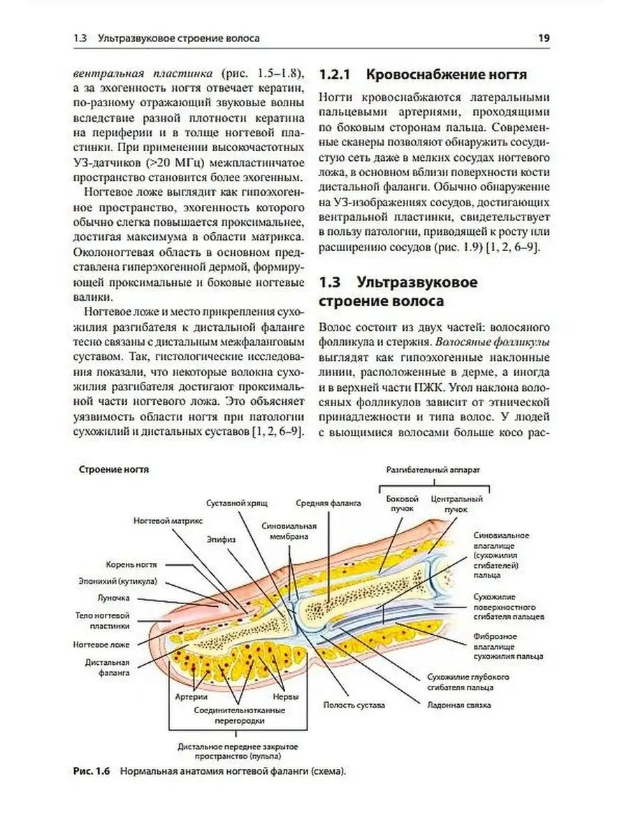 Заявление на предоставление справки для налоговых органов