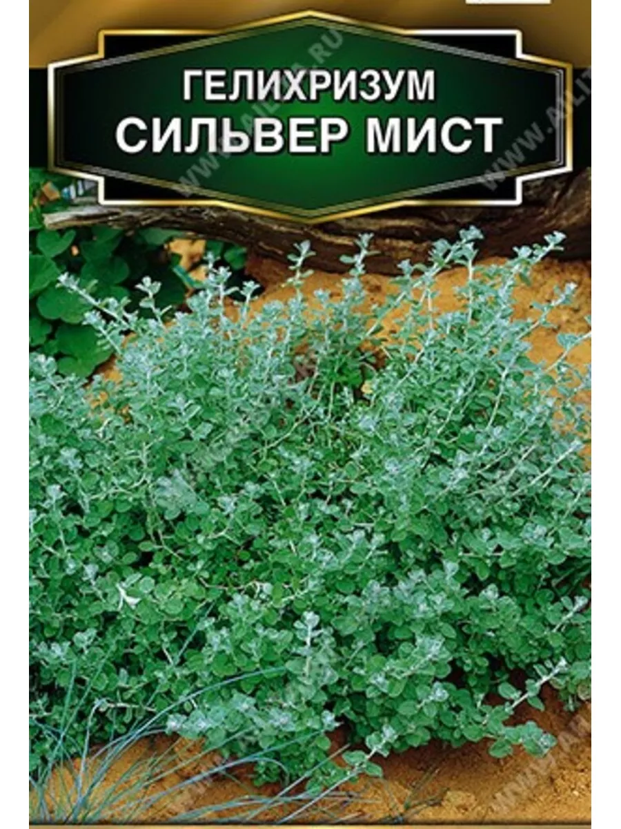 Гелихризум СИЛЬВЕР МИСТ, 3 микрогранулы ДАЧА ОНЛАЙН 156469072 купить за 188  ₽ в интернет-магазине Wildberries