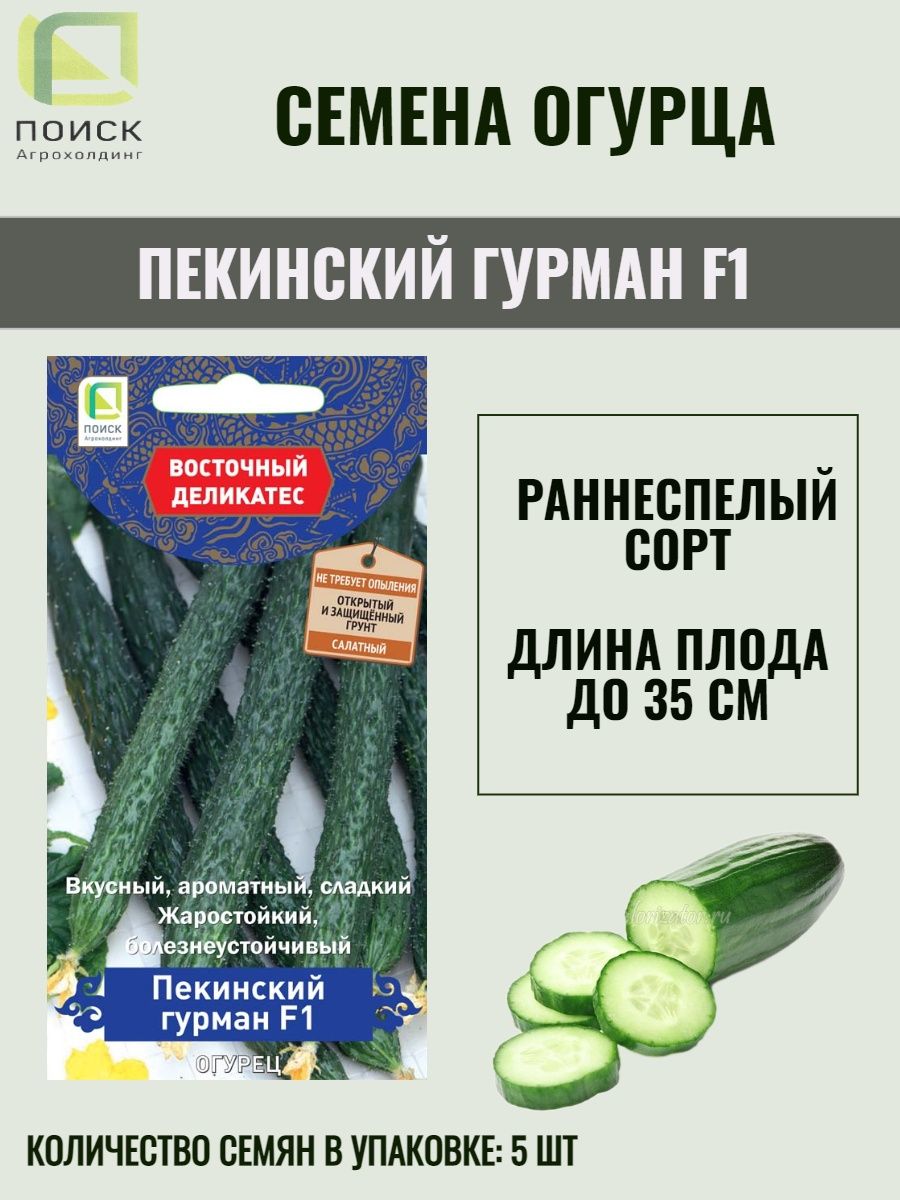 Огурец Пекинский Гурман. Огурец Пекинский вкусный. Огурец любимец Конфуция. Семена поиск Восточный деликатес огурец любимец Конфуция f1 5 шт..