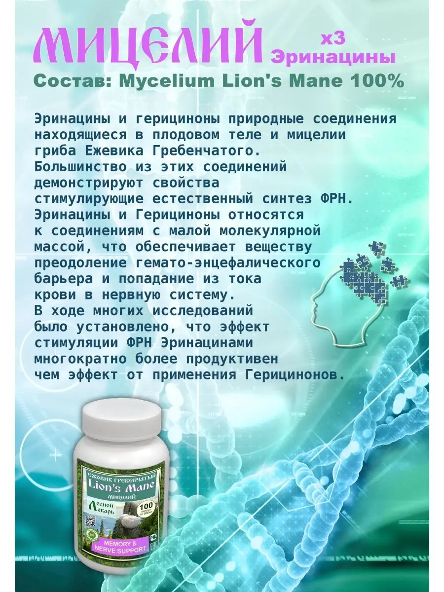 Ежовик гребенчатый мицелий капсулы 200шт Лесной лекарь 156535759 купить за  859 ₽ в интернет-магазине Wildberries