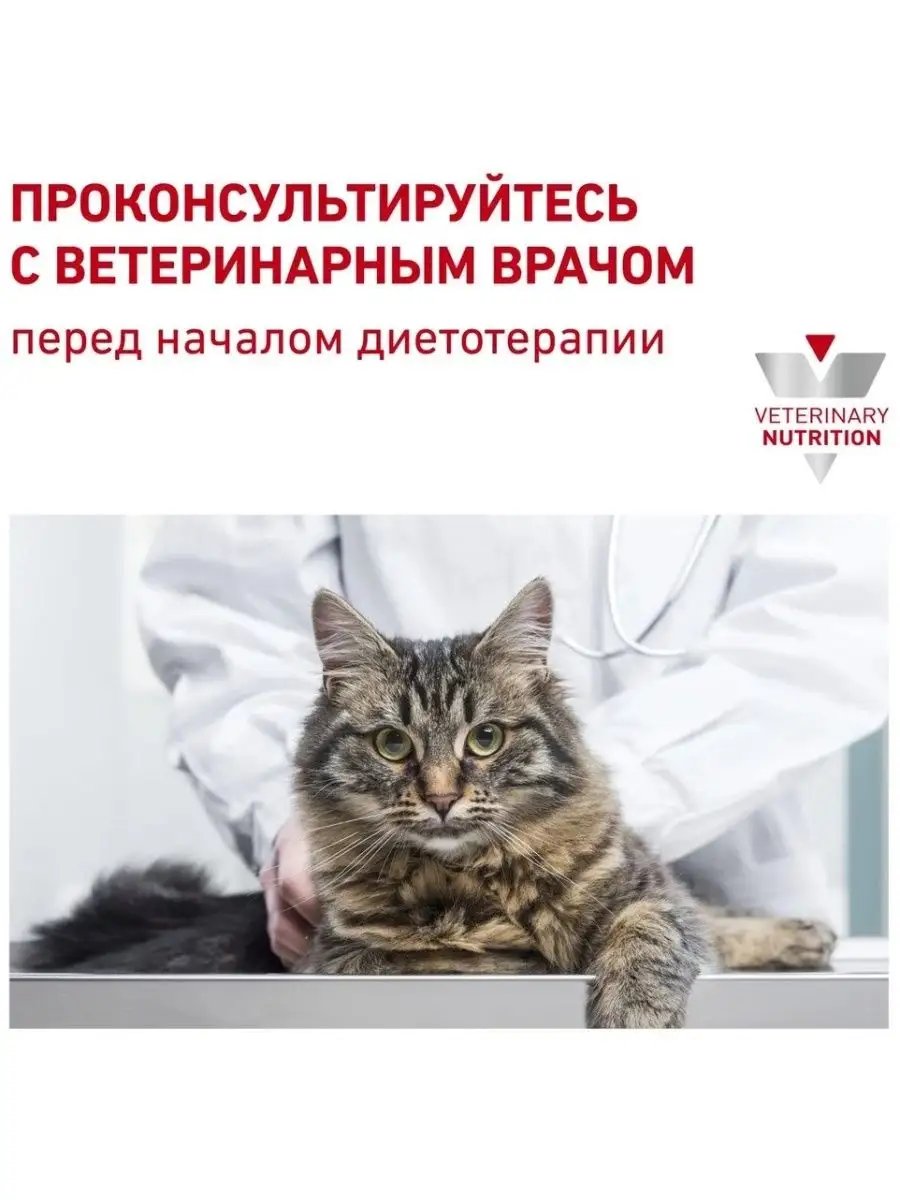 Корм для кошек сухой Уринари S/O 400 гр ROYAL CANIN 156540321 купить за 799  ₽ в интернет-магазине Wildberries