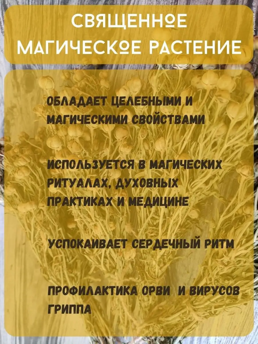 Исирик, адыраспан, ведьмина трава DG Dzherra gallery 156545138 купить в  интернет-магазине Wildberries