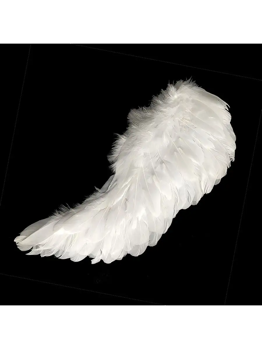 Крылья ангела или схизантус (шизантус)