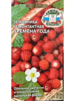 Земляника Времена Года ( мелкоплодная ремонтант.) СеДек 156579101 купить за 128 ₽ в интернет-магазине Wildberries