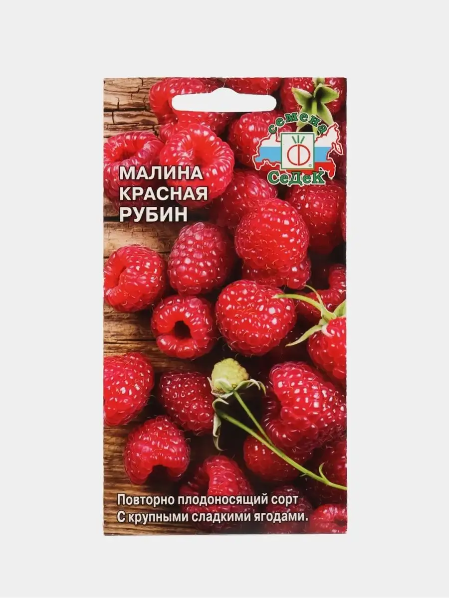 Малина Красная Рубин СеДек 156579112 купить за 134 ₽ в интернет-магазине  Wildberries